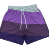 039 Men's Performance Stretch Swim Shorts