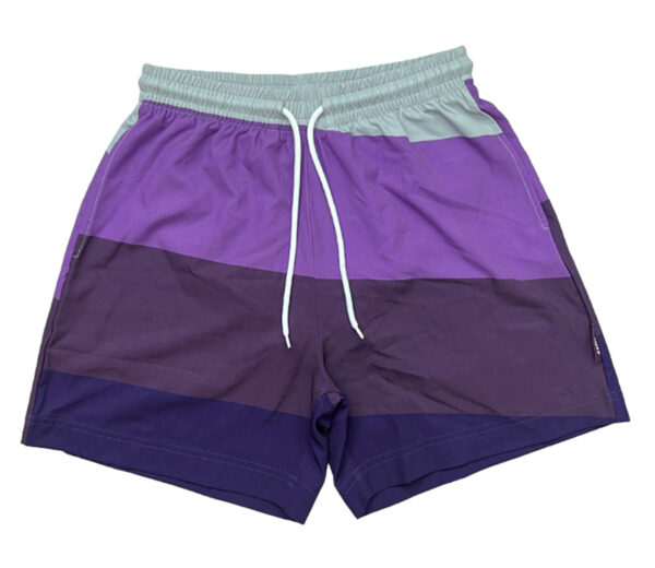 039 Men's Performance Stretch Swim Shorts
